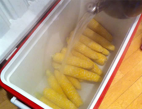 corn-cooler-1.
