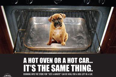 Dogs_Die_in_Hot_cars.