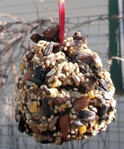 pinecone-birdfeeder.